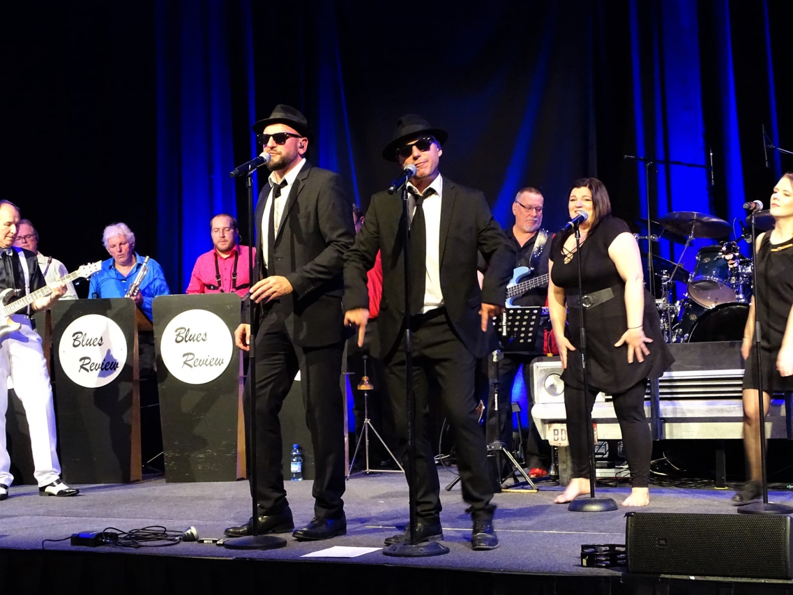 JAKE & ELWOOD BLUES REVIEW